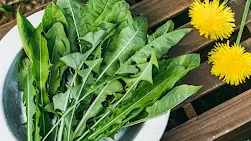 Cardio Slim Tea - Dandelion leaves