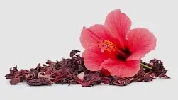 Cardio Slim Tea - Hibiscus Flowers