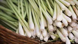 Cardio Slim Tea - Lemongrass