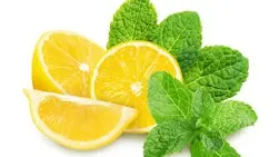 Cardio Slim Tea - Natural Lemon & Mint